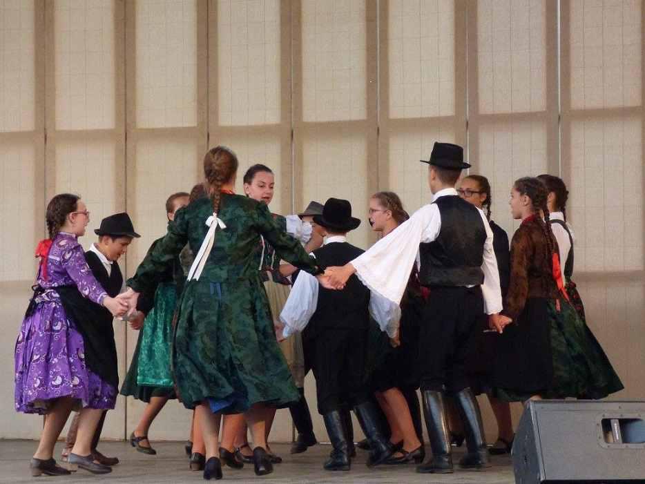 Fotogaléria Nádas Diószegen 2016. június 4. (12) Nádas Diószegen 2016. június 4.
